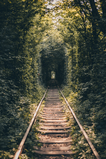 railway-tunnel-trees-bushes-tunnel-love.jpg
