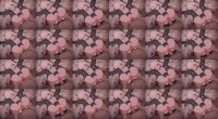 03.ループ1 ho0dw s