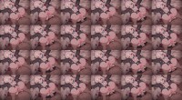 04.ループ1 ぶっかけ 1w7vf s