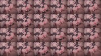 05.ループ2 9861o s
