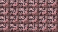 06.ループ2 ぶっかけ z3c5l s