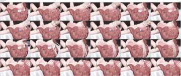 [260609][見ず水煮] ゴッホちゃん screenshot 1