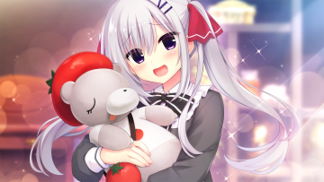 028 ev rir 03 04