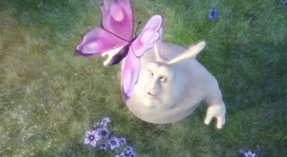 test_video.mp4