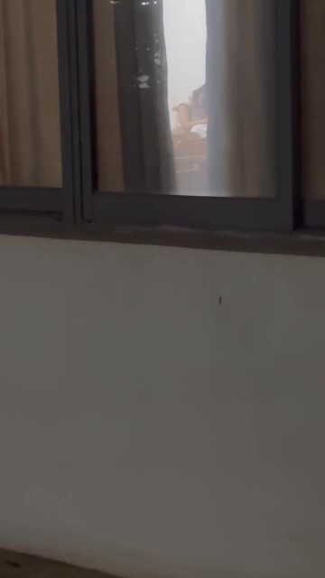 2.mp4