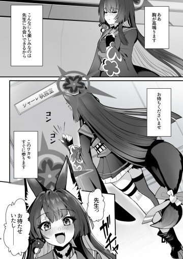 03 3