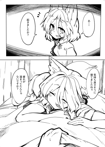 03 3