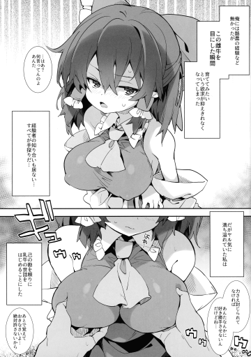pg 03 2125x3025 1.22 MB