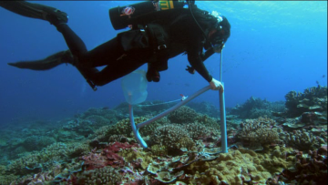VIDEO_TS-00_39_09.png