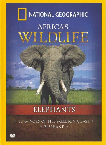 National.Geographic.Africas.Wildlife.Elephants.2007.png