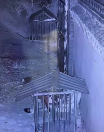 6b44f687d6420a35c8be3aca7ce020af.mp4