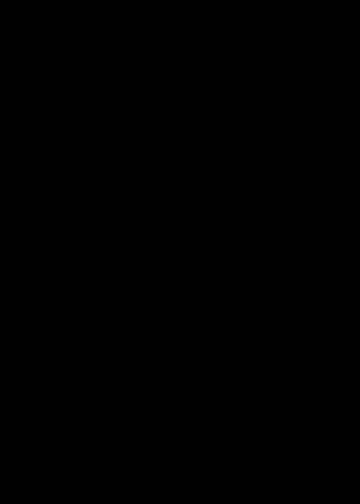 pg. 003