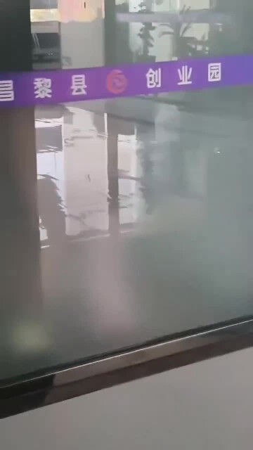 2.mp4