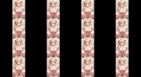 Bl 06 tlfcy s