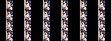 Fel 01 d1cgd s
